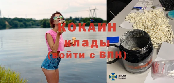 соль ск Алексин