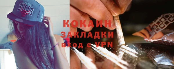 соль ск Алексин