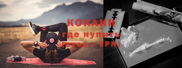 соль ск Алексин
