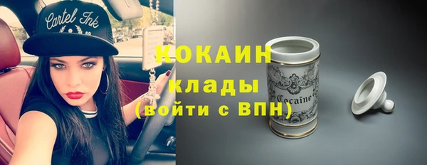соль ск Алексин
